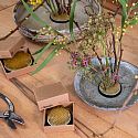 Niwaki Ikebana Workshops 2025