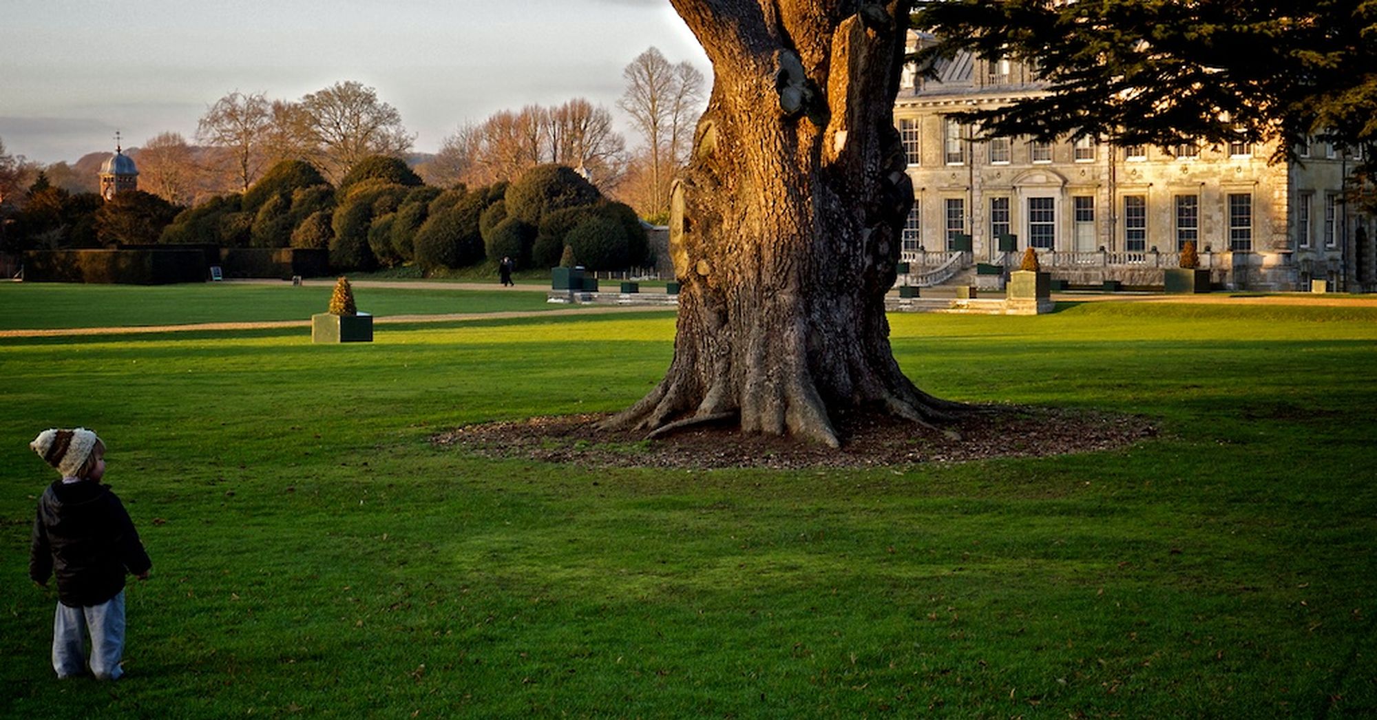 Niwaki - Kingston Lacy