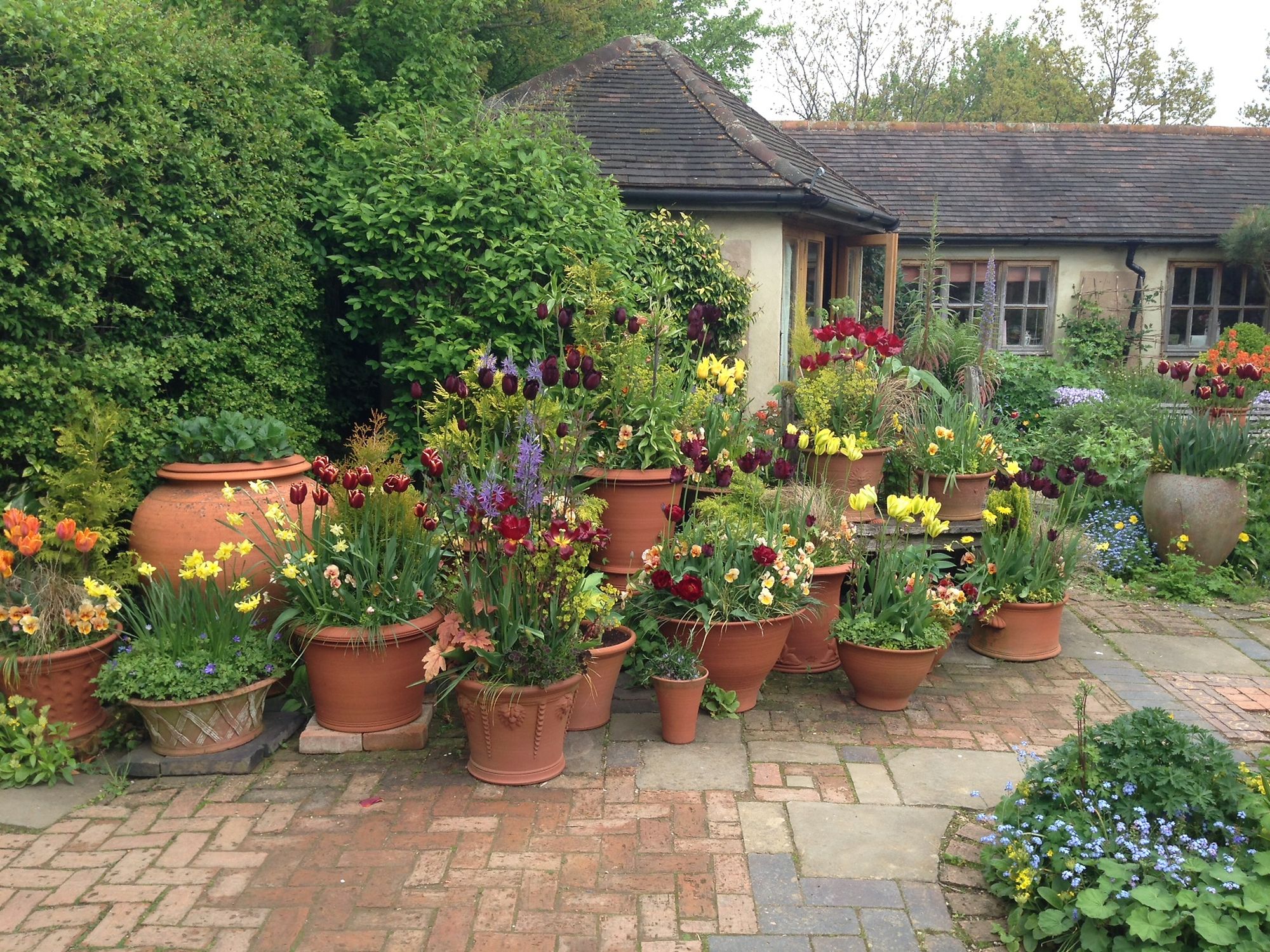 Niwaki Whichford Pottery