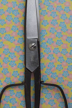 Household Scissors Detail