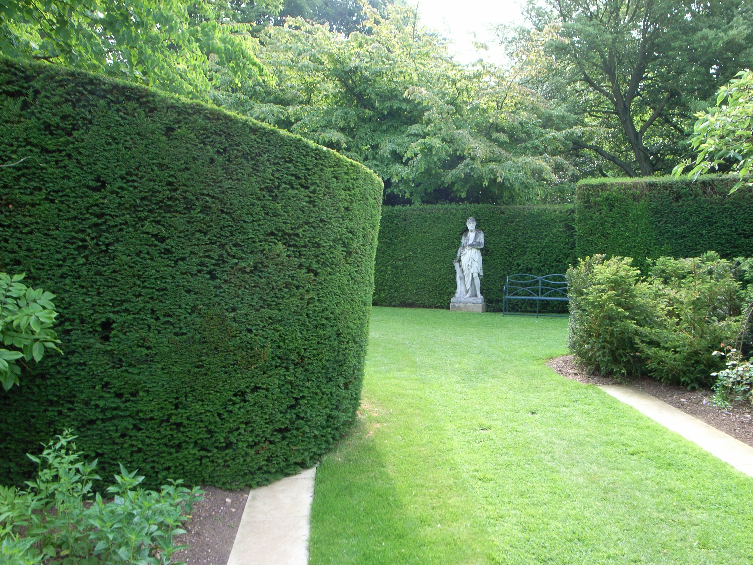 Cottesbrooke Yew