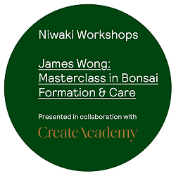 Niwaki Workshops: Bonsai Formation and Care with James Wong • Monday 31 July, 2–3:30pm