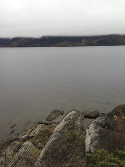 Hole Hagesenter   The Fjords