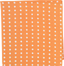 Niwaki Hanky • Tangerine