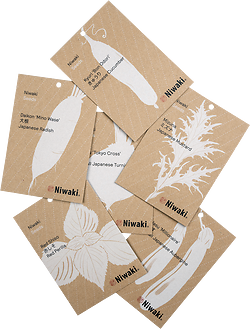 Japanese Vegetable and Herb Seeds - All Six