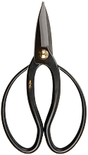 Niwaki Higurashi Scissors