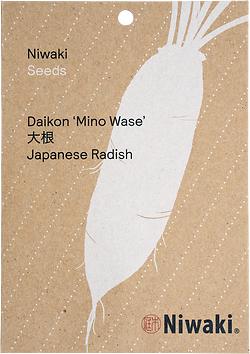 Daikon ‘Mino Wase’ Seeds