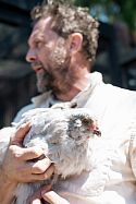 One of Todd’s chicken, safely tucked away from the local coyotes