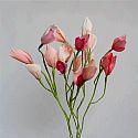 Niwaki Workshops: Paper Flower Art