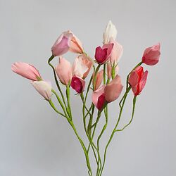 Niwaki Workshops: Paper Flower Art