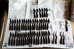 Tobisho Secateurs 3