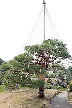Kiyosumi Garden