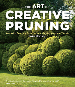 The Art of Creative Pruning