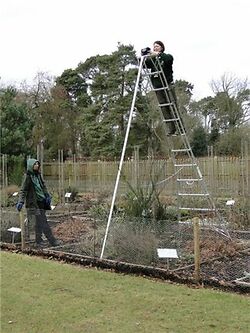Rhs Tripod Ladder