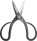 Taira Mekiri Scissors