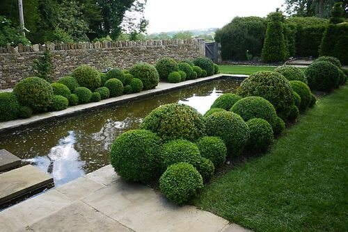 Cloud Pruned Box