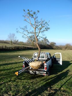 Rootballing Workshop, Image: #2