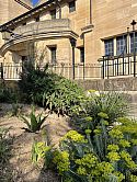 Xerophytic garden