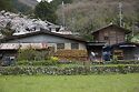 Nanten En Onsen Log Pile