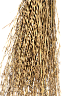 Bamboo Hand Broom (broom detail)