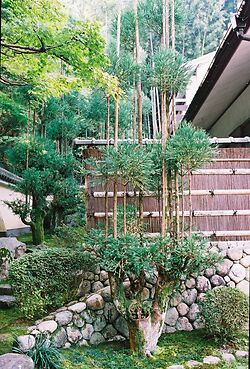 Dai Sugi 3
