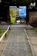 Pine Pruning At Nanshu Ji 6