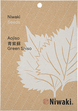Green Shiso Seeds