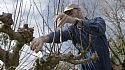 Choosing the right Secateurs