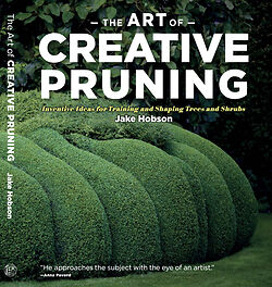 The Art of Creative Pruning