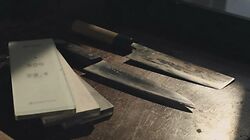 Sharpening Japanese Kitchen Knives with Shapton Glass Series Stones