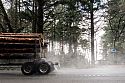 A steady stream of timber trucks carry wood out of the forests along the coastal road. NB tsunami warning sign