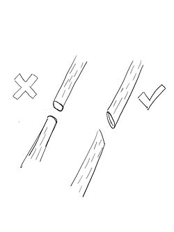 Max Cut