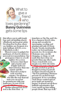 Bunny Guinness Review