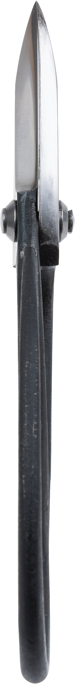 Taira Ueki Garden Scissors side view showing blade width