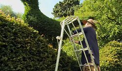 British Best Gardens