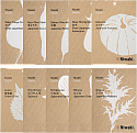 Japanese Vegetable and Herb Seeds Set • All Ten Packs