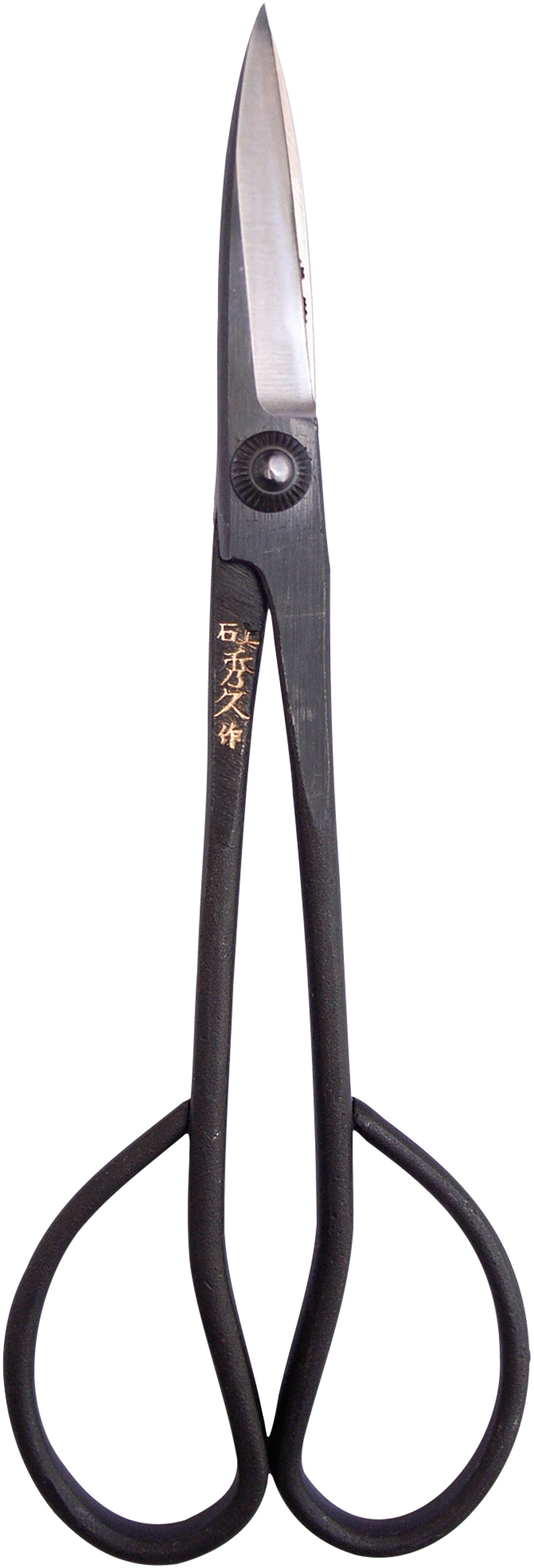 - Root-to-Tip Radiance For Bonsai Trees