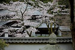 Kongo Ji