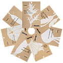 Japanese Vegetable and Herb Seeds • All Seven Packs
