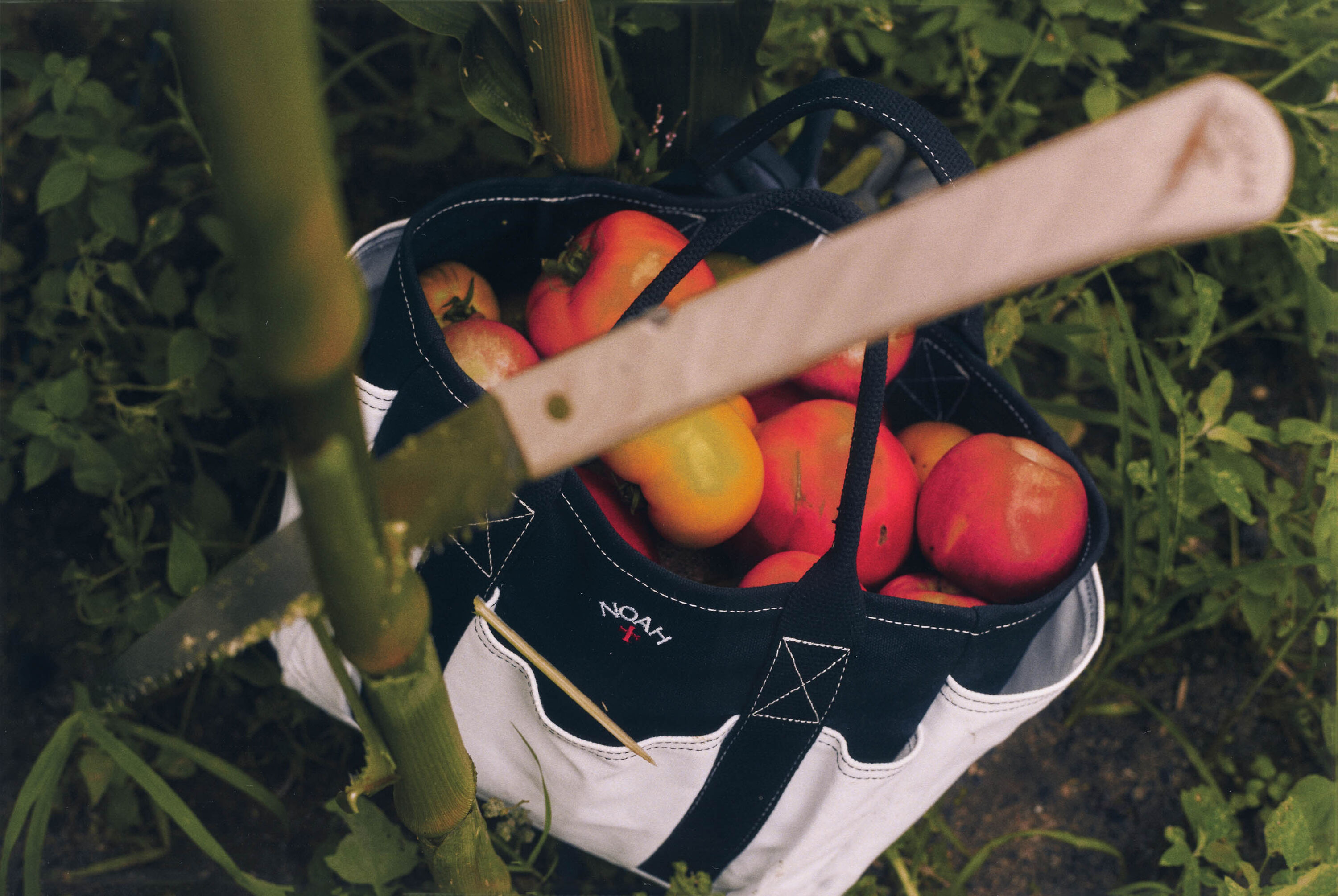 Noah X Niwaki Garden Tote • Black and White