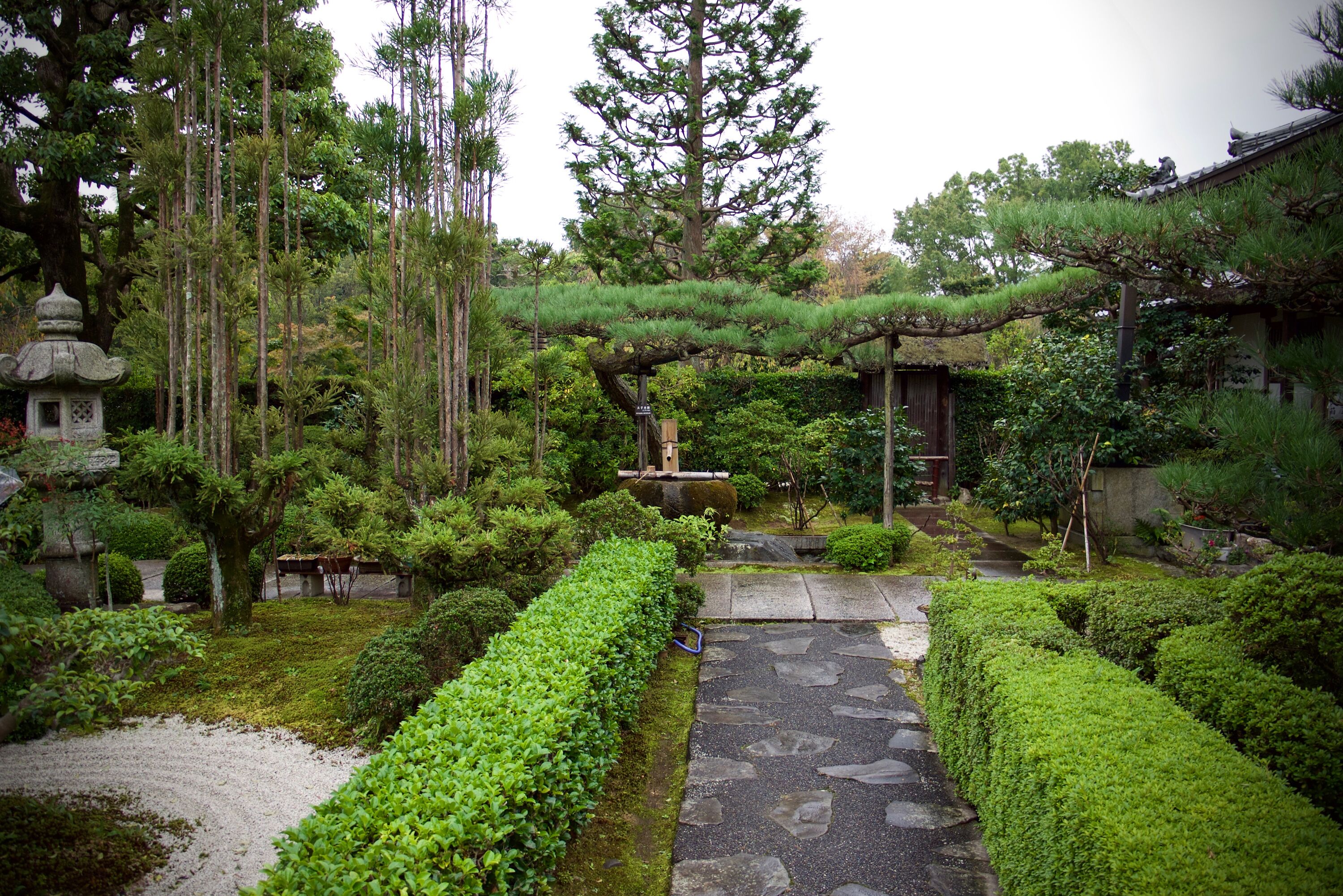 Shobo Ji, Kyoto