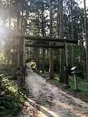 Shrine Gates Near The Top