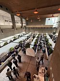 Bonsai artists and tree fanatics at the Tokyo Metropolitan Art Museum