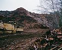 Venturing away from the protected areas, you come across huge slash piles and chipping operations, producing landscaping bark destined for garden centres across the country
