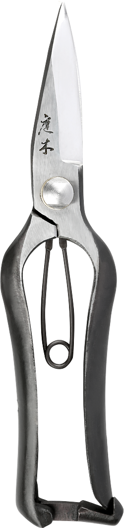 Tokusen Barracuda Secateurs
