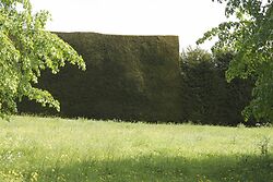West Dean 2