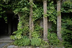 Niwaki At Mapperton Gardens