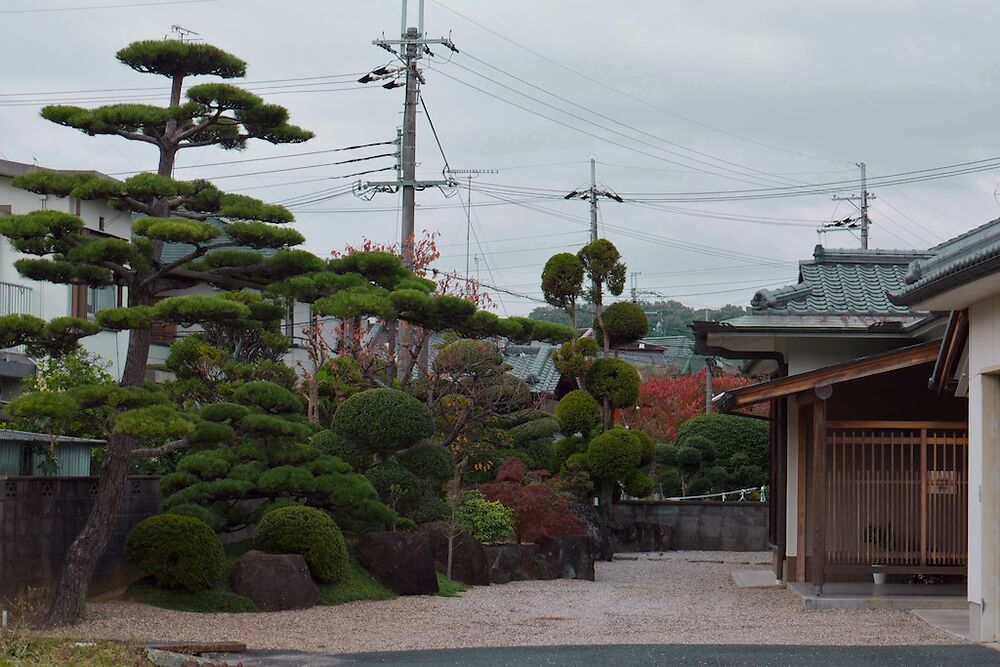 Japanese Garden