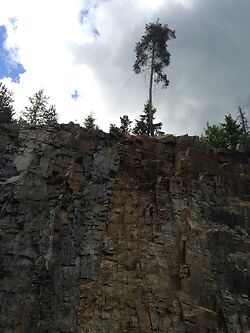 Quarry