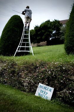 Niwaki At Mapperton Gardens